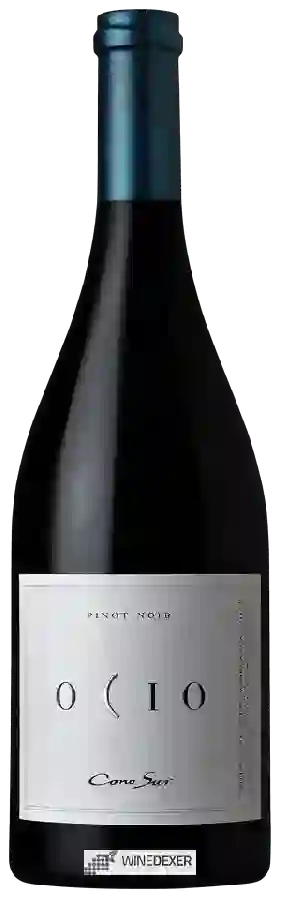 Winery Cono Sur - Ocio Pinot Noir