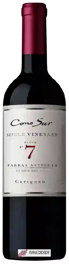 Winery Cono Sur - Parras Antiguas Block No. 7 Single Vineyard Carignan Winery Cono Sur - Parras Antiguas Block No. 7 Single Vineyard Carignan