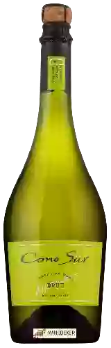 Winery Cono Sur - Sparkling Brut