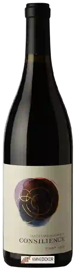 Winery Consilience - Pinot Noir