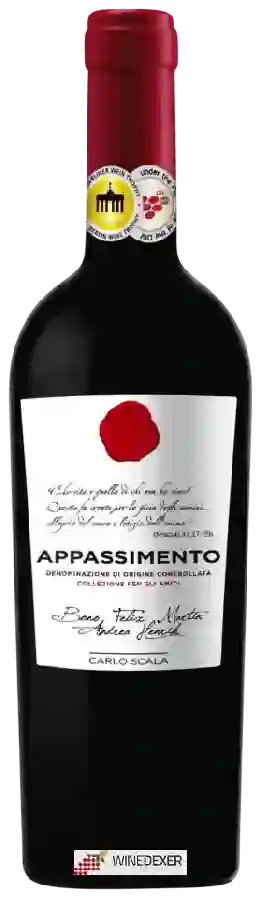 Winery Conte di Campiano - Carlo Scala Appassimento