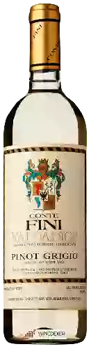 Winery Conte Fini - Pinot Grigio Valdadige