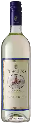 Winery Placido - Pinot Grigio