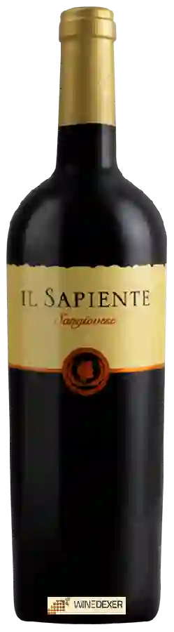 Winery Conte Zardi - Il Sapiente Sangiovese Winery Conte Zardi - Il Sapiente Sangiovese