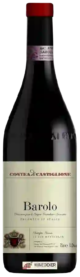 Winery Contea di Castiglione - Barolo