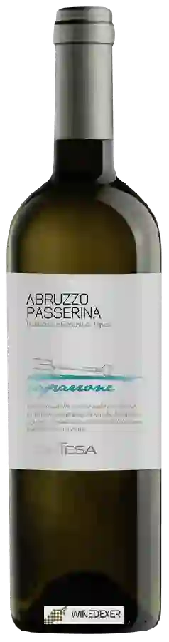 Winery Contesa - Caparrone Abruzzo Passerina Winery Contesa - Caparrone Abruzzo Passerina