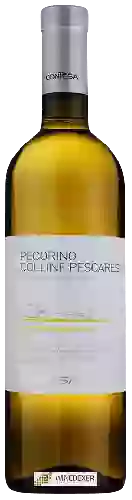 Winery Contesa - Caparrone Pecorino Colline Pescaresi
