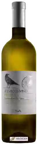 Winery Contesa - Vigna Corvino Pecorino