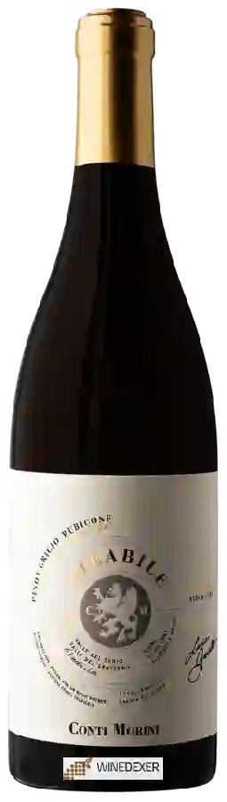Winery Conti Morini - Mirabile Pinot Grigio Winery Conti Morini - Mirabile Pinot Grigio
