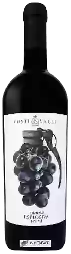Winery Conti Valli - Edizione Esplosiva