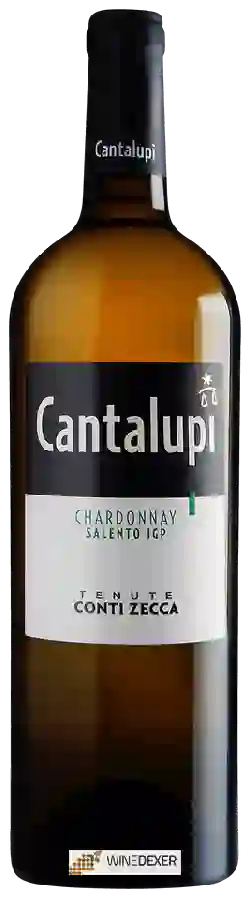 Winery Conti Zecca - Cantalupi Chardonnay Salento Winery Conti Zecca - Cantalupi Chardonnay Salento