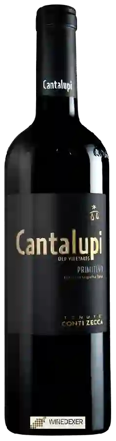 Winery Conti Zecca - Cantalupi Old Vineyards Primitivo Winery Conti Zecca - Cantalupi Old Vineyards Primitivo
