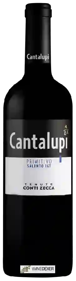 Winery Conti Zecca - Cantalupi Primitivo Salento Winery Conti Zecca - Cantalupi Primitivo Salento