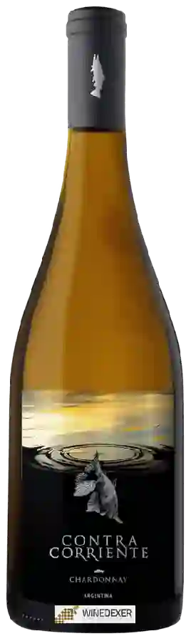Contra Corriente Bodega - Chardonnay Contra Corriente Bodega - Chardonnay