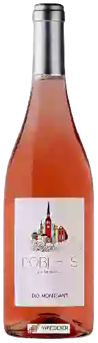 Winery Copa Llena - Poblets del Montsant Rosé
