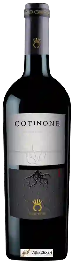 Winery Coppadoro - Cotinone Winery Coppadoro - Cotinone