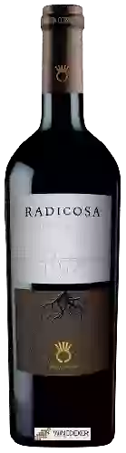 Winery Coppadoro - Radicosa