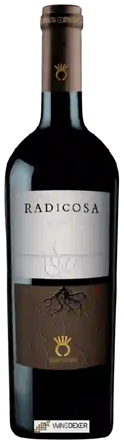 Winery Coppadoro - Radicosa