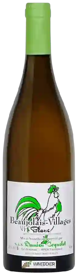 Winery Damien Coquelet - Beaujolais-Villages Blanc Winery Damien Coquelet - Beaujolais-Villages Blanc