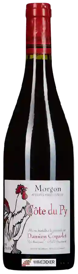 Winery Damien Coquelet - Morgon Côte du Py