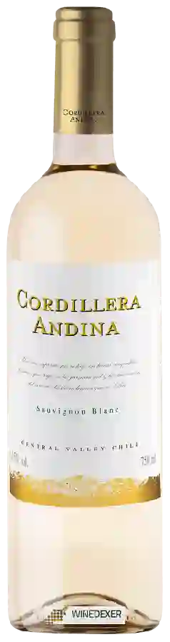 Winery Cordillera Andina - Sauvignon Blanc Winery Cordillera Andina - Sauvignon Blanc