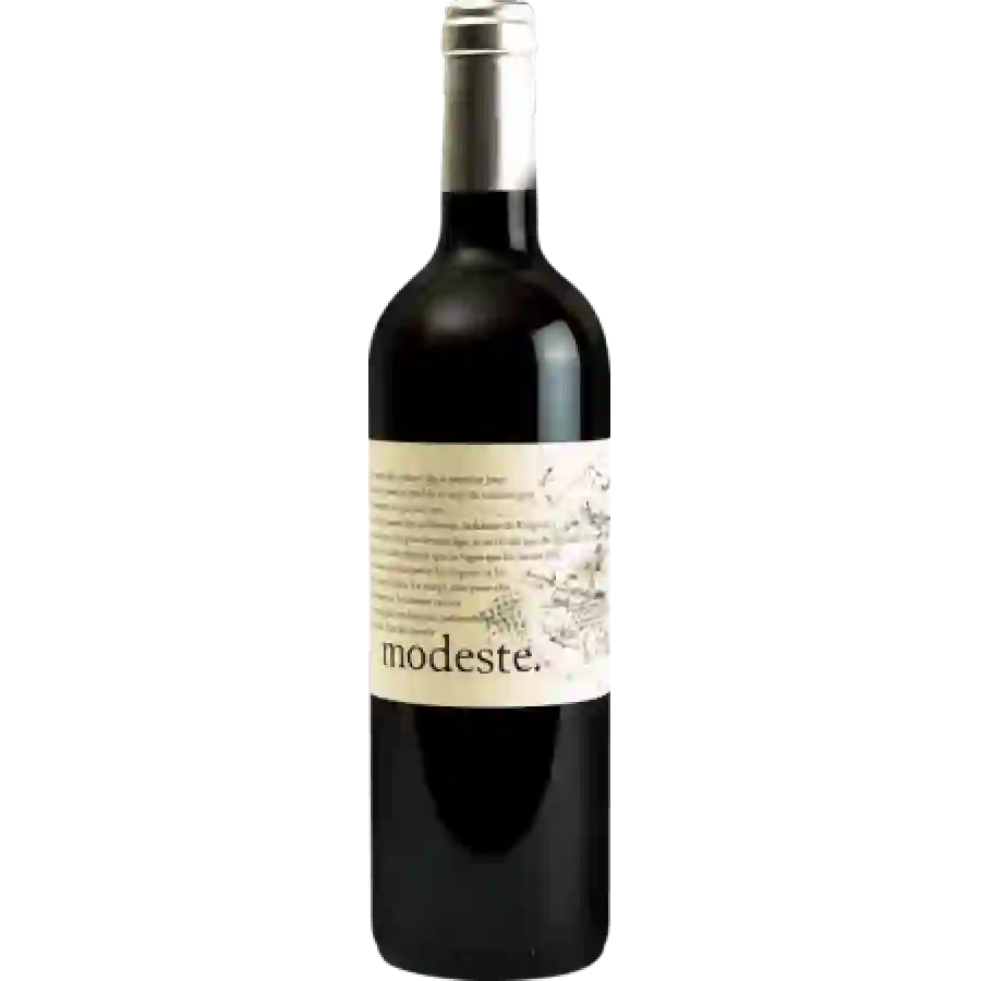 Winery Corinne & Damien Deneufbourg - Syrah Winery Corinne & Damien Deneufbourg - Syrah