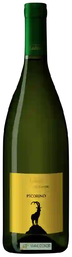 Winery Corno Grande - Pecorino Winery Corno Grande - Pecorino