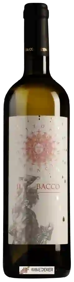 Winery Coroncino - Il Bacco