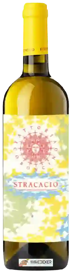 Winery Coroncino - Stracacio Winery Coroncino - Stracacio