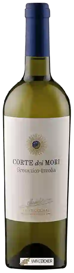 Winery Corte dei Mori - Grecanico - Inzolia Winery Corte dei Mori - Grecanico - Inzolia