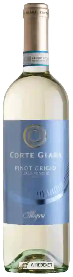 Winery Corte Giara - Pinot Grigio delle Venezie