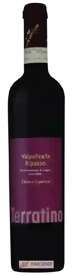 Winery Corte Lenguin - Terratino Valpolicella Ripasso Classico Superiore