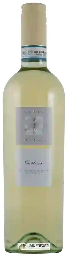 Winery Corte Olivi - Custoza