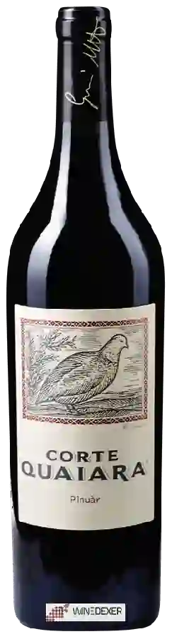 Winery Corte Quaiara - Pinu&agraver
