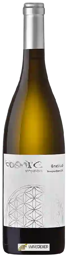 Winery Cosmic - Gratitud Sauvignon Blanc Winery Cosmic - Gratitud Sauvignon Blanc