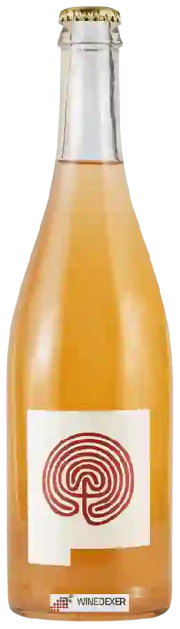 Winery Costadilà - O-X Winery Costadilà - O-X