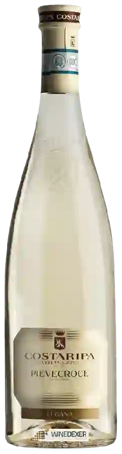 Winery Costaripa - Pievecroce