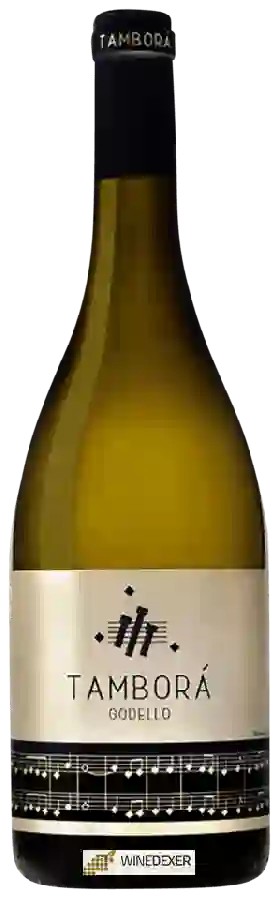 Winery Viña Costeira - Tamborá Godello
