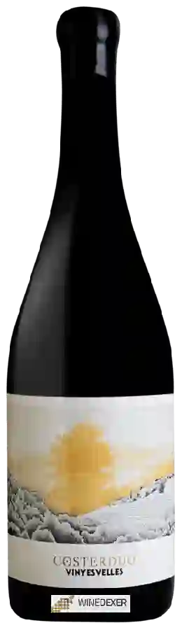 Winery Costerduo - Vinyes Velles
