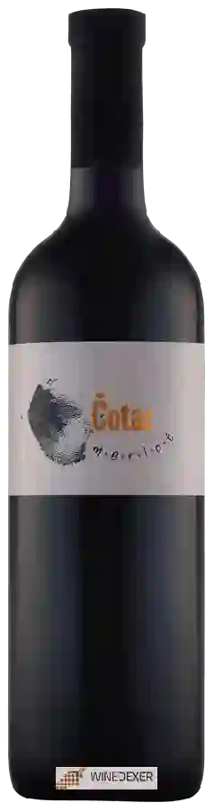 Winery Čotar - Merlot
