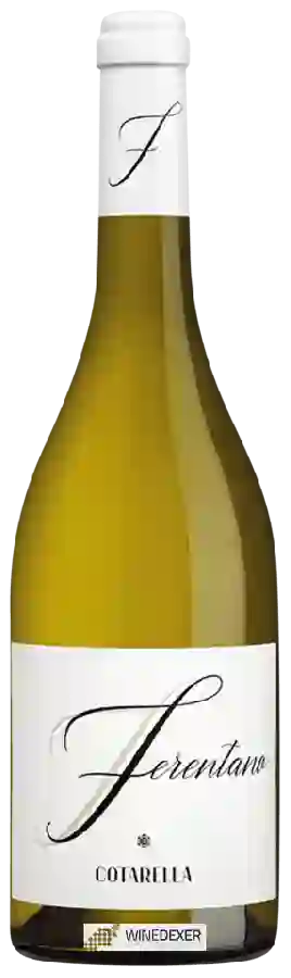 Winery Cotarella - Ferentano Lazio Winery Cotarella - Ferentano Lazio