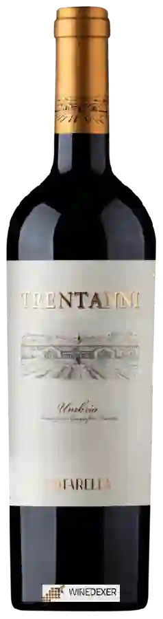 Winery Cotarella - Trentanni Winery Cotarella - Trentanni