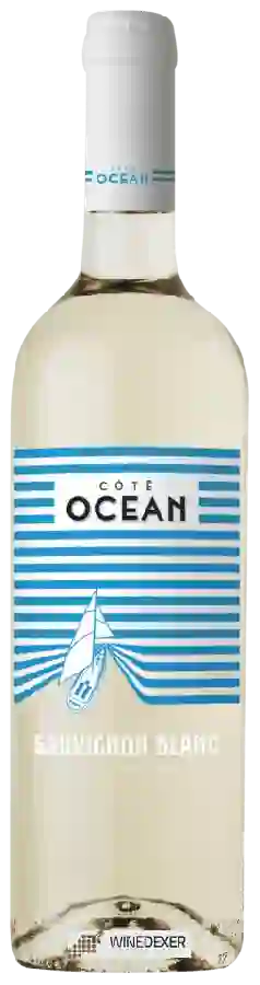 Winery Côté Océan - Sauvignon Blanc