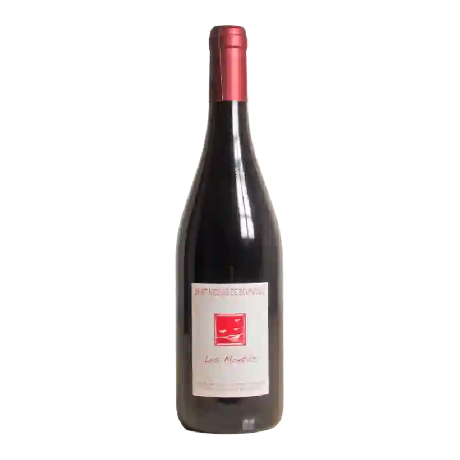 Domaine de la Cotelleraie - Les Montils Saint-Nicolas-de-Bourgueil Domaine de la Cotelleraie - Les Montils Saint-Nicolas-de-Bourgueil