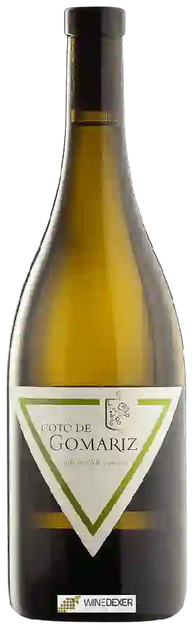 Winery Coto de Gomariz (María Álvarez Serrano) - Colleita Seleccionada Winery Coto de Gomariz (María Álvarez Serrano) - Colleita Seleccionada