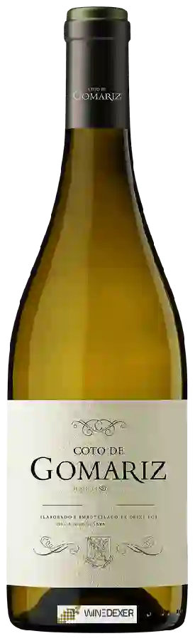 Winery Coto de Gomariz (María Álvarez Serrano) - Dende o Seculo X