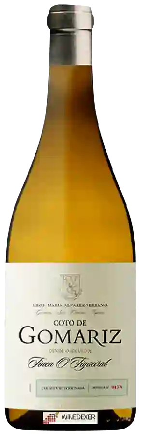 Winery Coto de Gomariz (María Álvarez Serrano) - Finca O Figueiral Colleita Seleccionada
