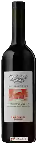 Winery Weinbau Cottinelli - Lurlibad Daniel G. Hatz