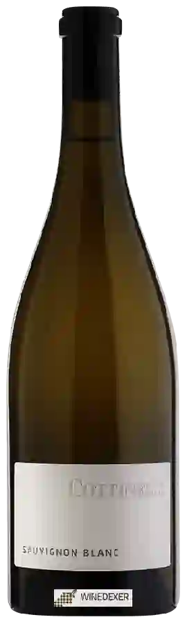Winery Weinbau Cottinelli - Maienfeld Sauvignon Blanc