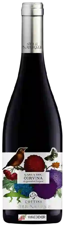 Winery Cottini Stile Naturale - Corvina